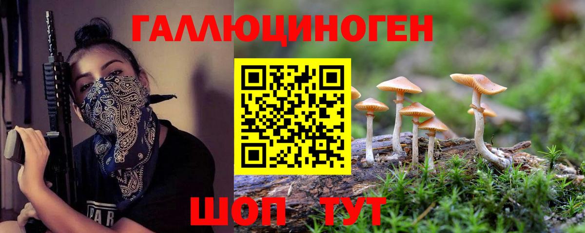 Галлюциногенные грибы Psilocybe Саров