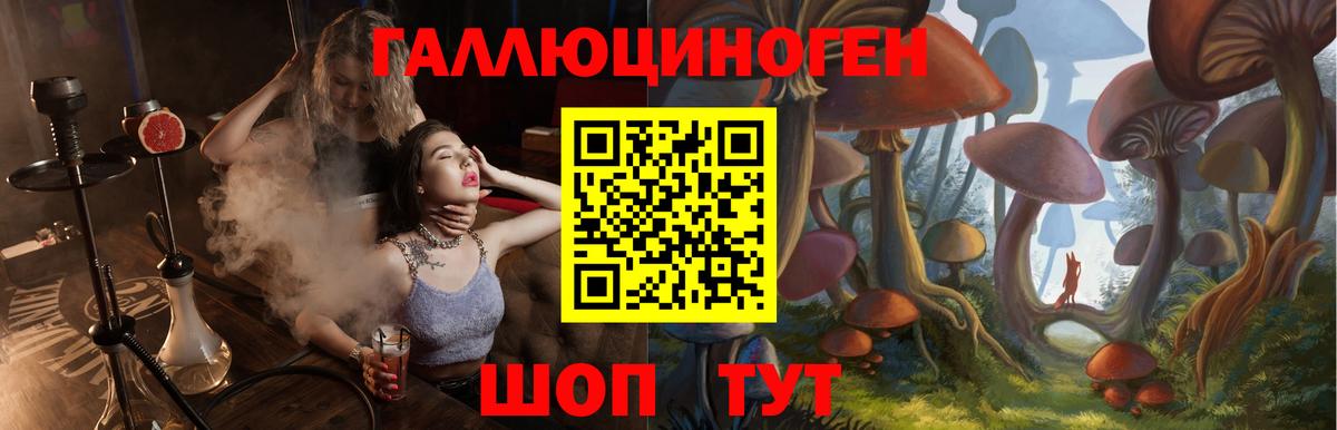 Галлюциногенные грибы ЛСД  Галлюциногенные грибы Psilocybine cubensis  Саров  дарнет шоп  Вход с VPN 